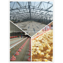 High Quality Poultry Equipment Exhausting Fan for Chicken Farming House